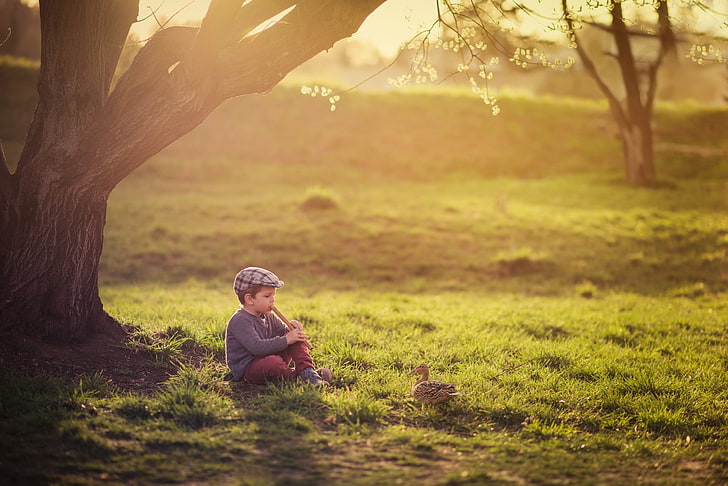 boy-duck-child-the-flute-wallpaper-preview